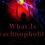 spider phobia
