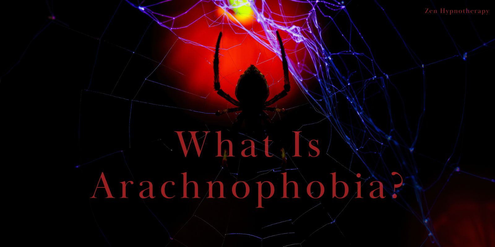 spider phobia